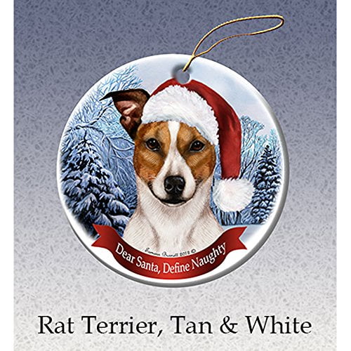 Holiday Pet Gifts Akita Santa Hat Dog Porcelain Ornament Silver & Red